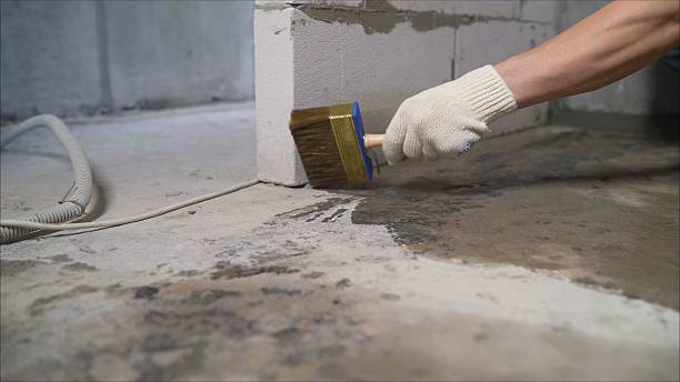 24/7 Emergency Wet Basement Repair experts in Berkley, MI